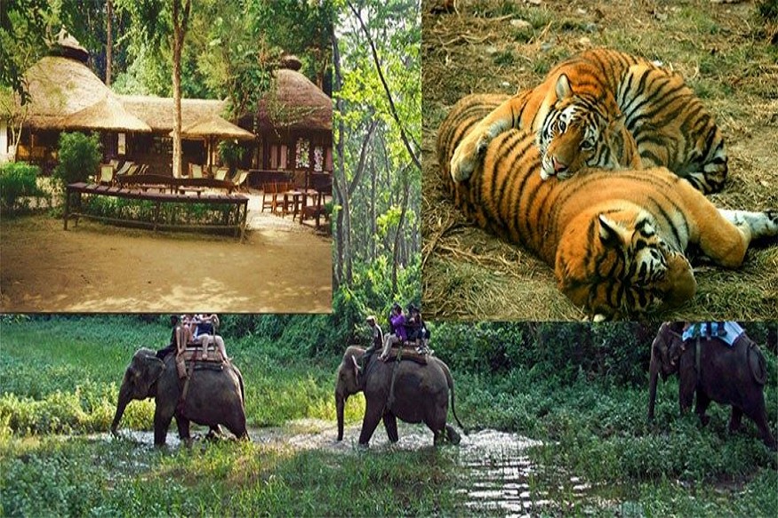 chitwan tour package
