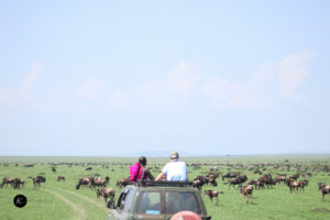 Kenya Tanzania Safaris